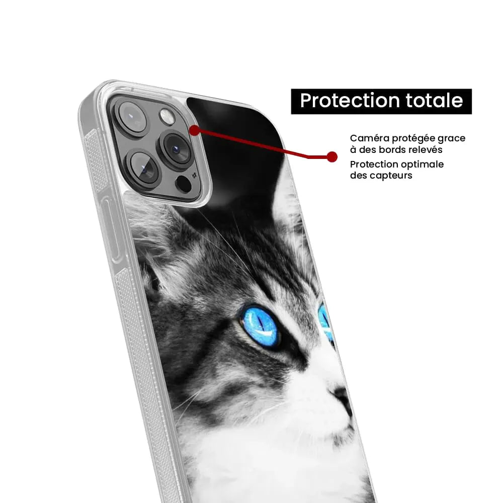 Chat yeux bleu