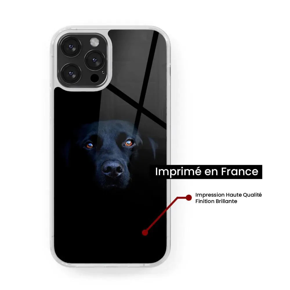 Chien noir