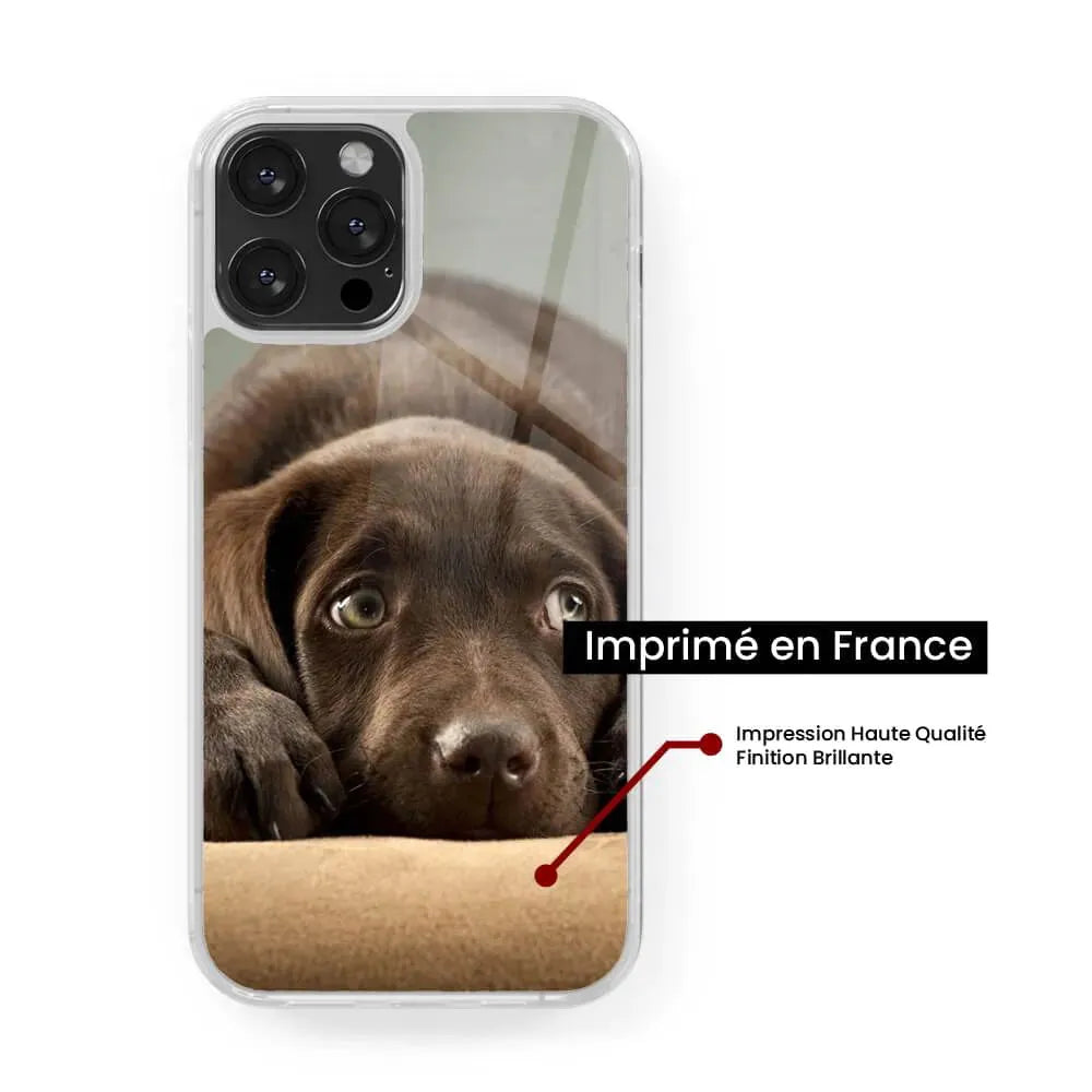 Chiot marron