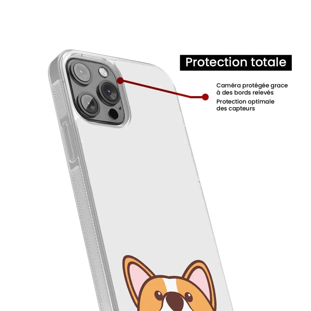 Coucou Corgi