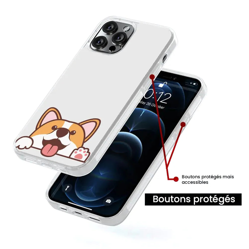 Coucou Corgi