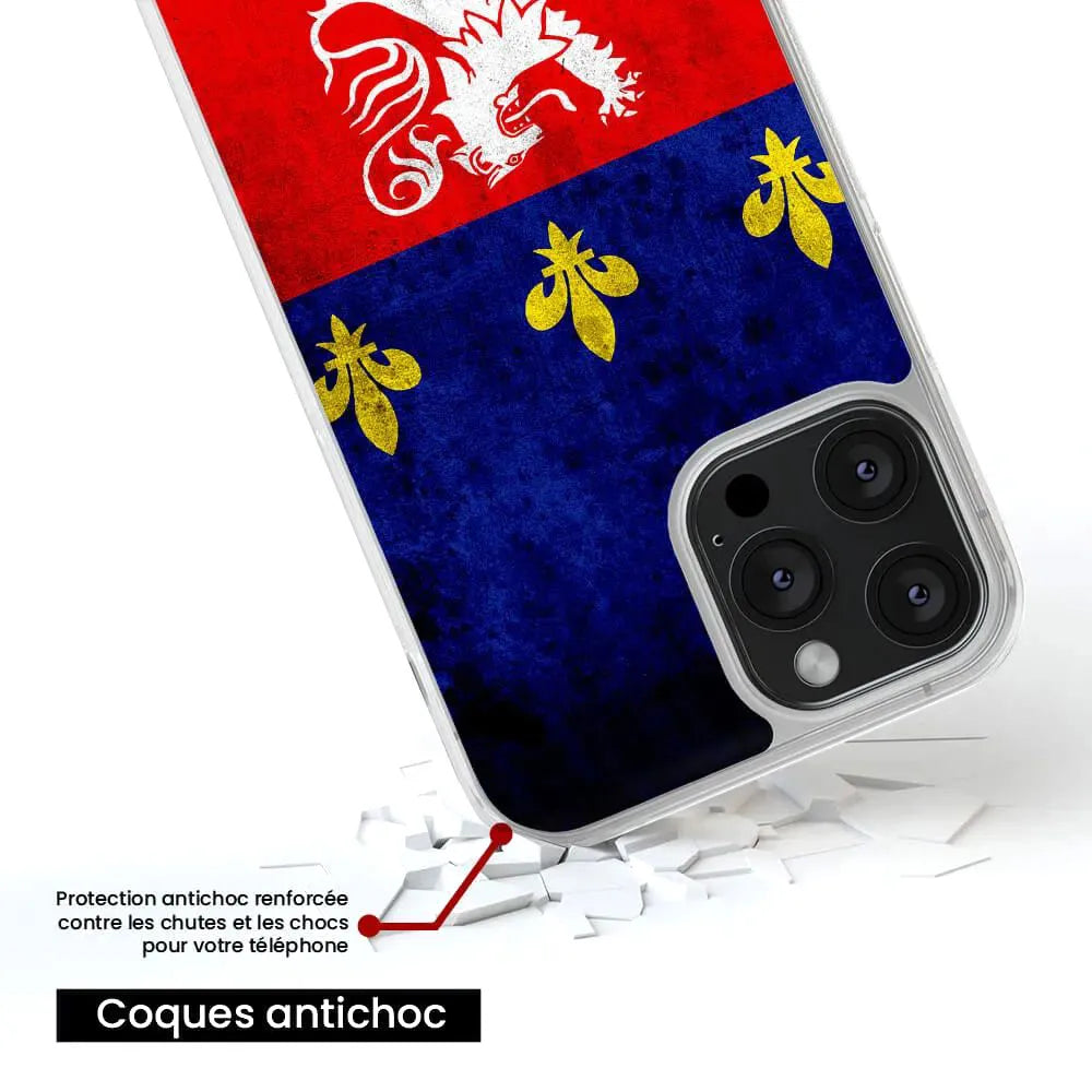 Drapeau Lyon