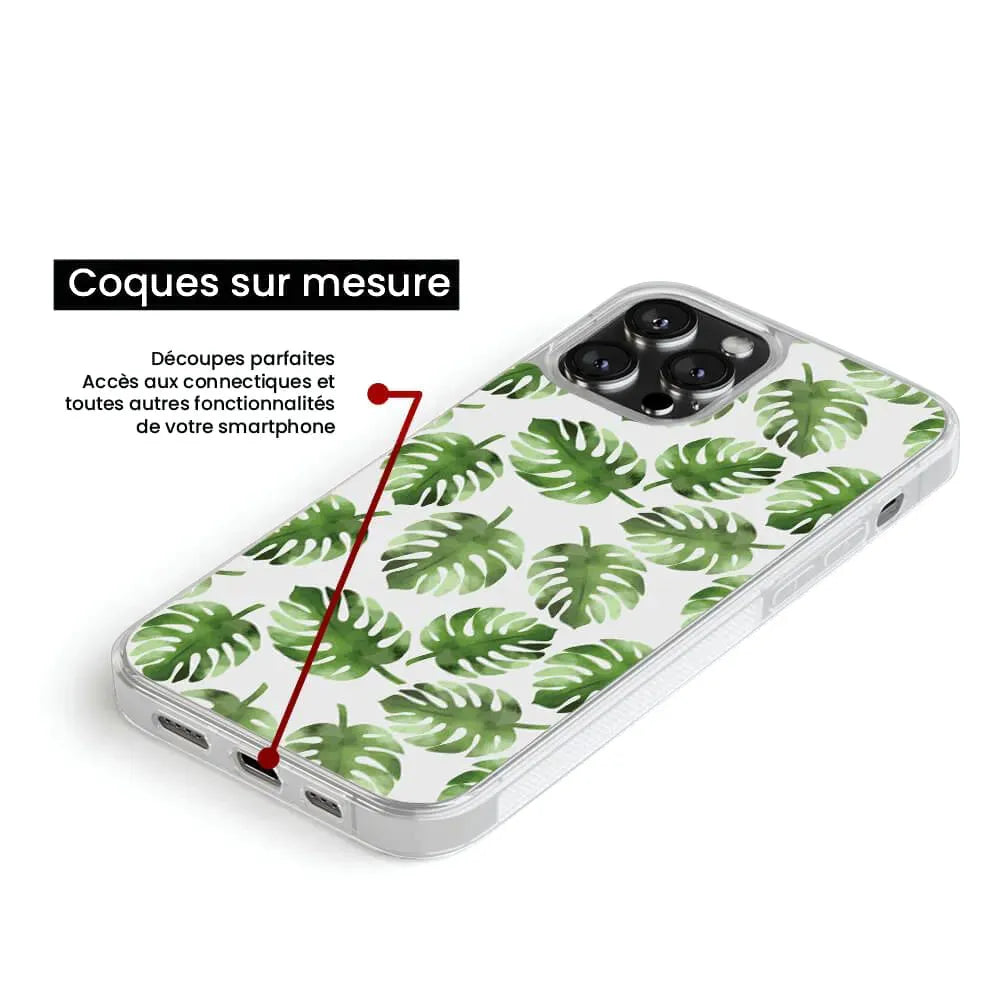 Feuilles de Monstera