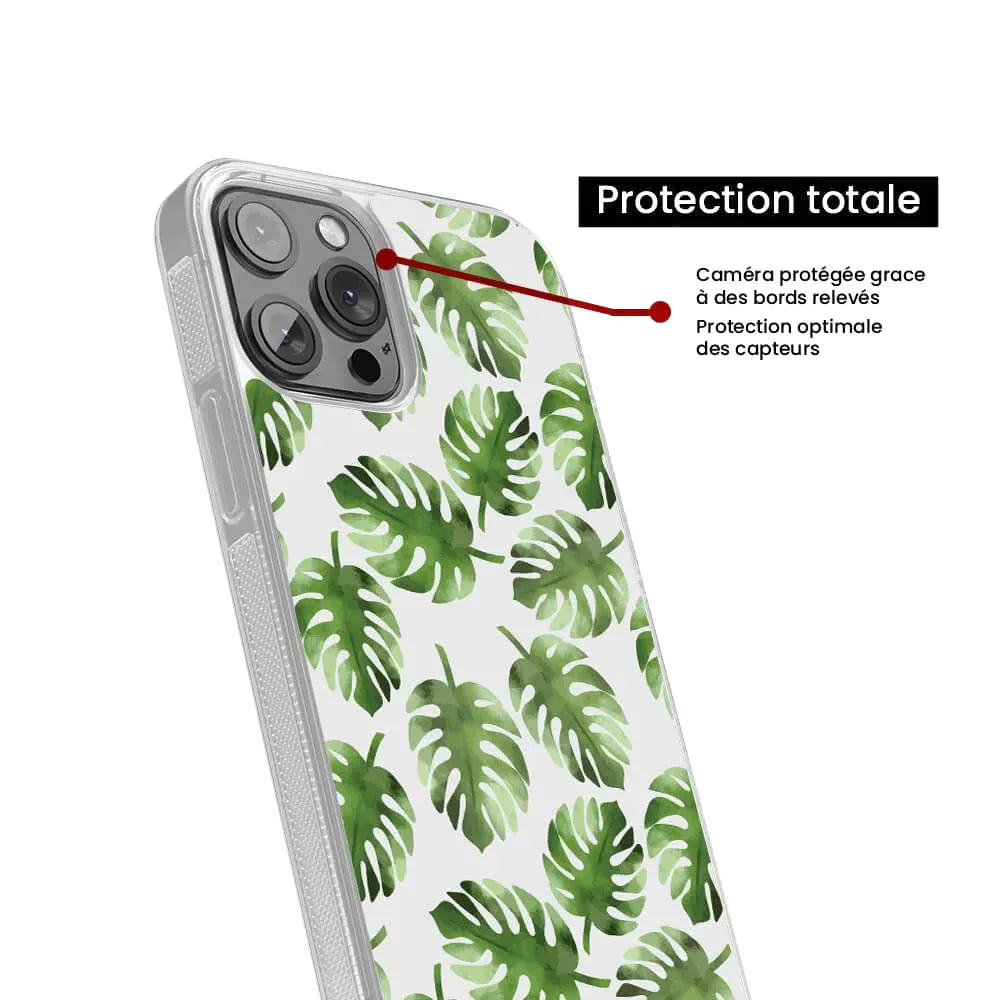 Feuilles de Monstera