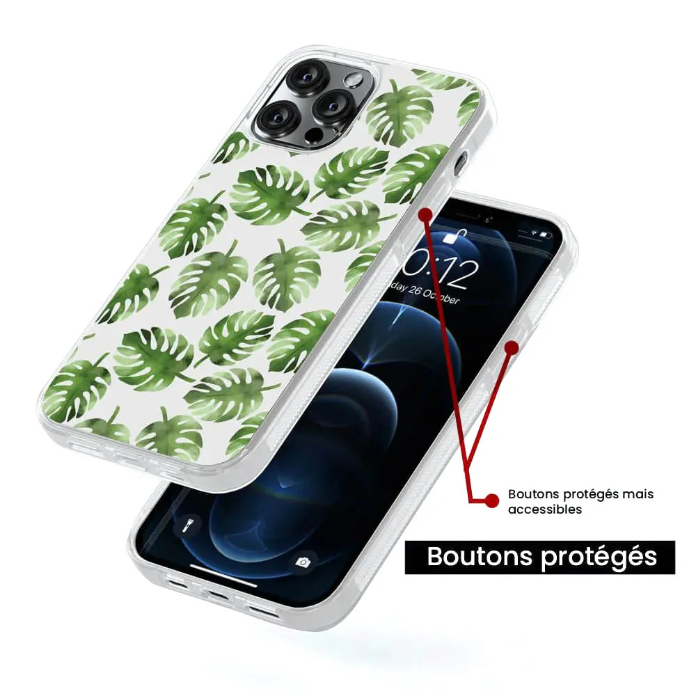 Feuilles de Monstera
