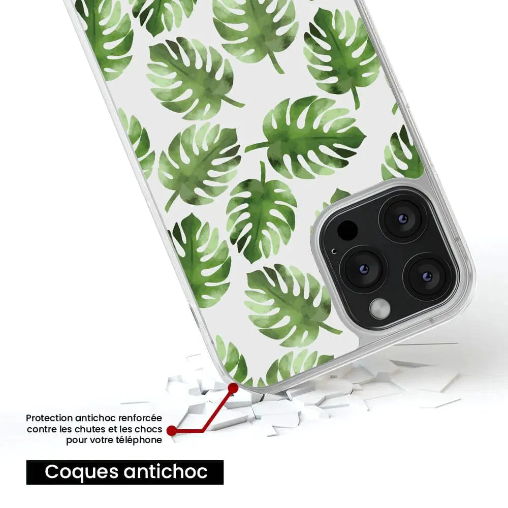 Feuilles de Monstera
