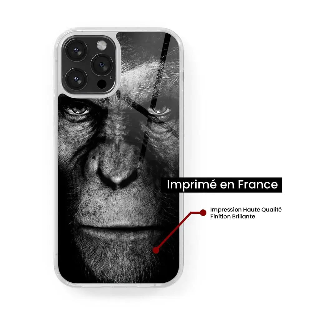 Singe