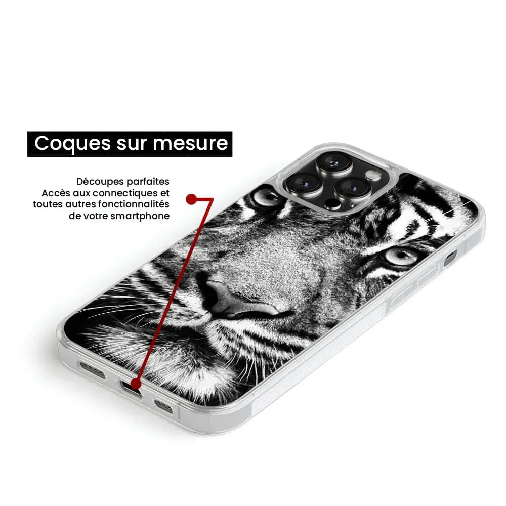 Tigre blanc et noir