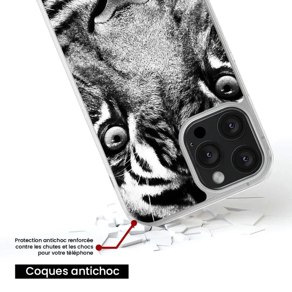 Tigre blanc et noir