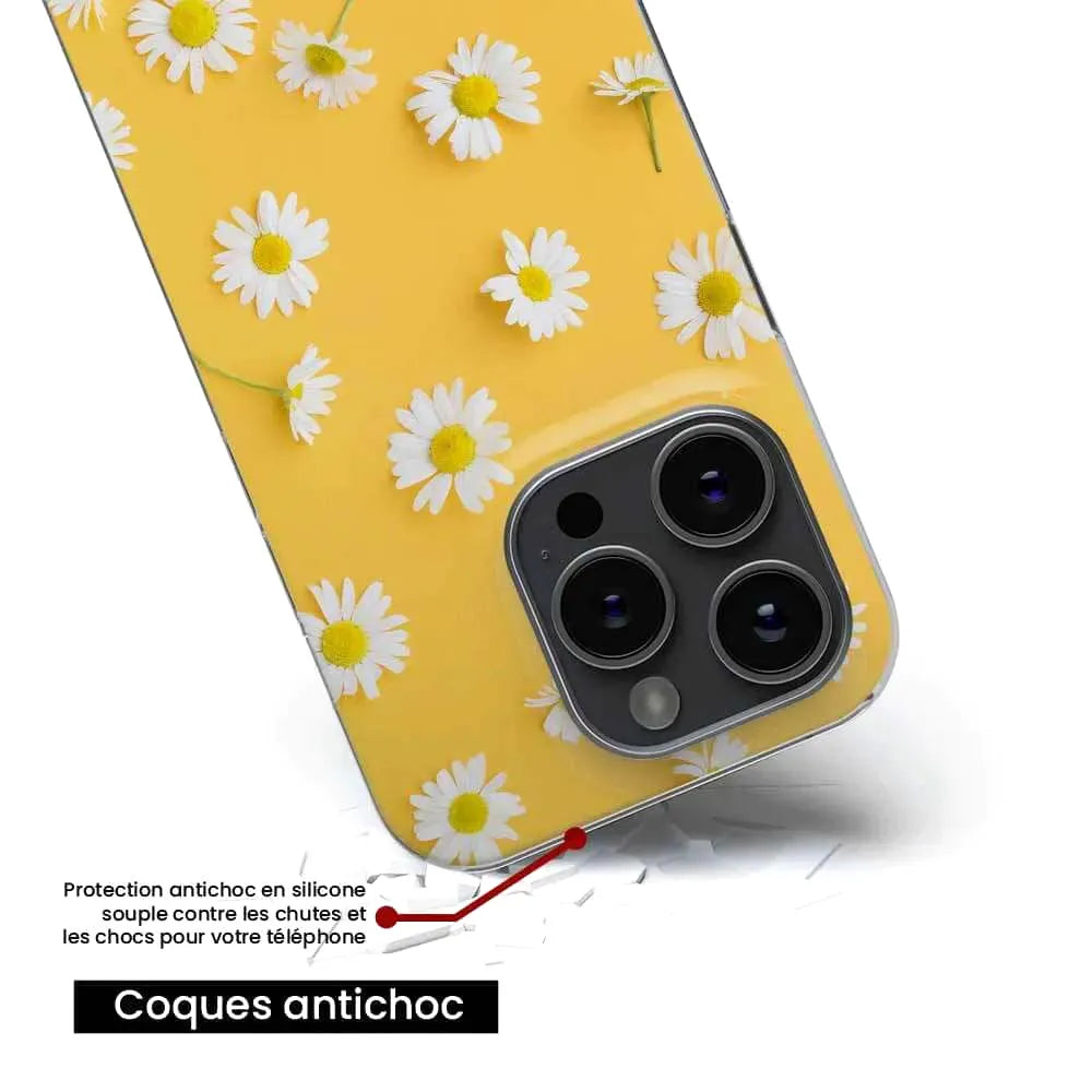 Marguerittes