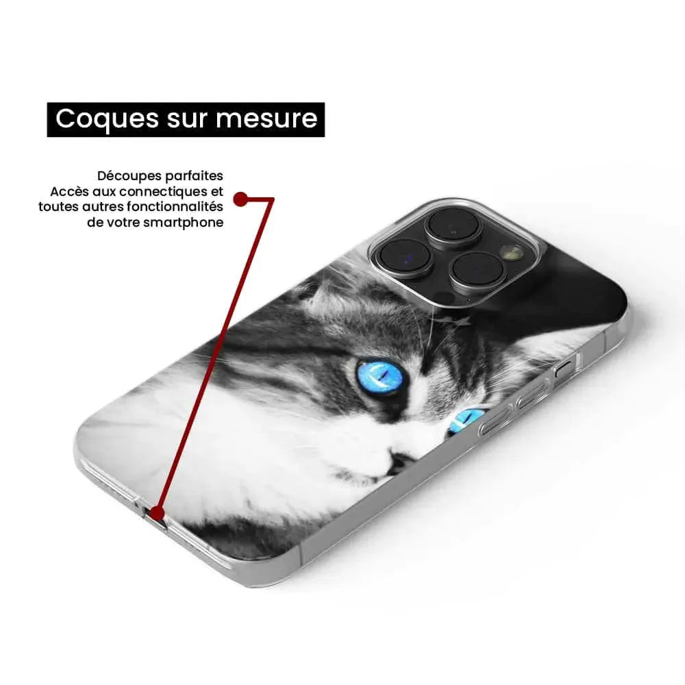 Chat yeux bleu