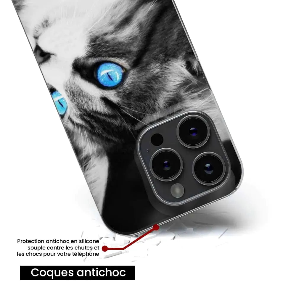 Chat yeux bleu
