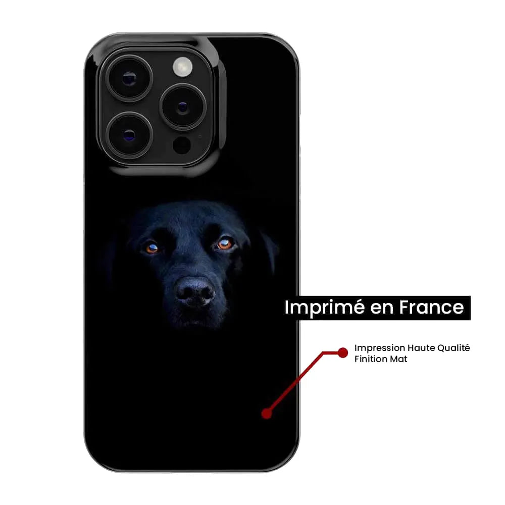 Chien noir