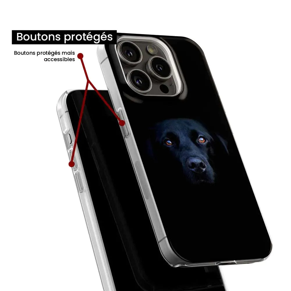 Chien noir