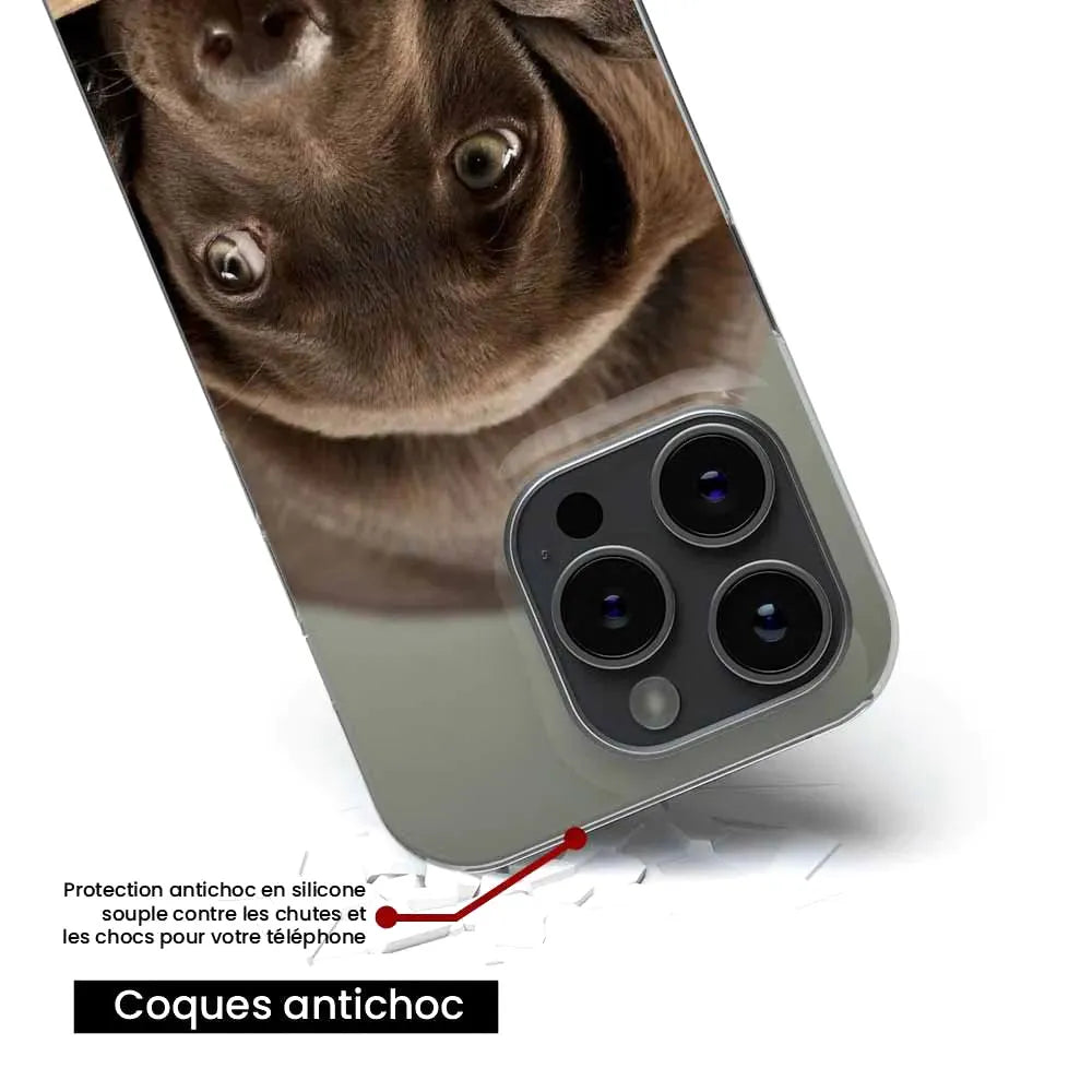Chiot marron