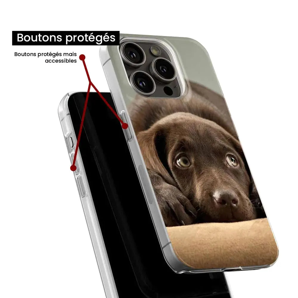 Chiot marron