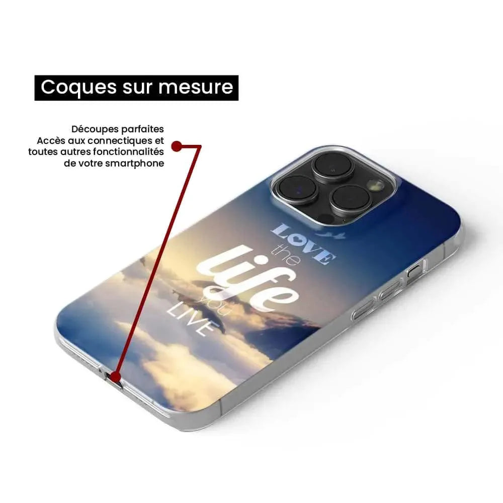 Citation 06