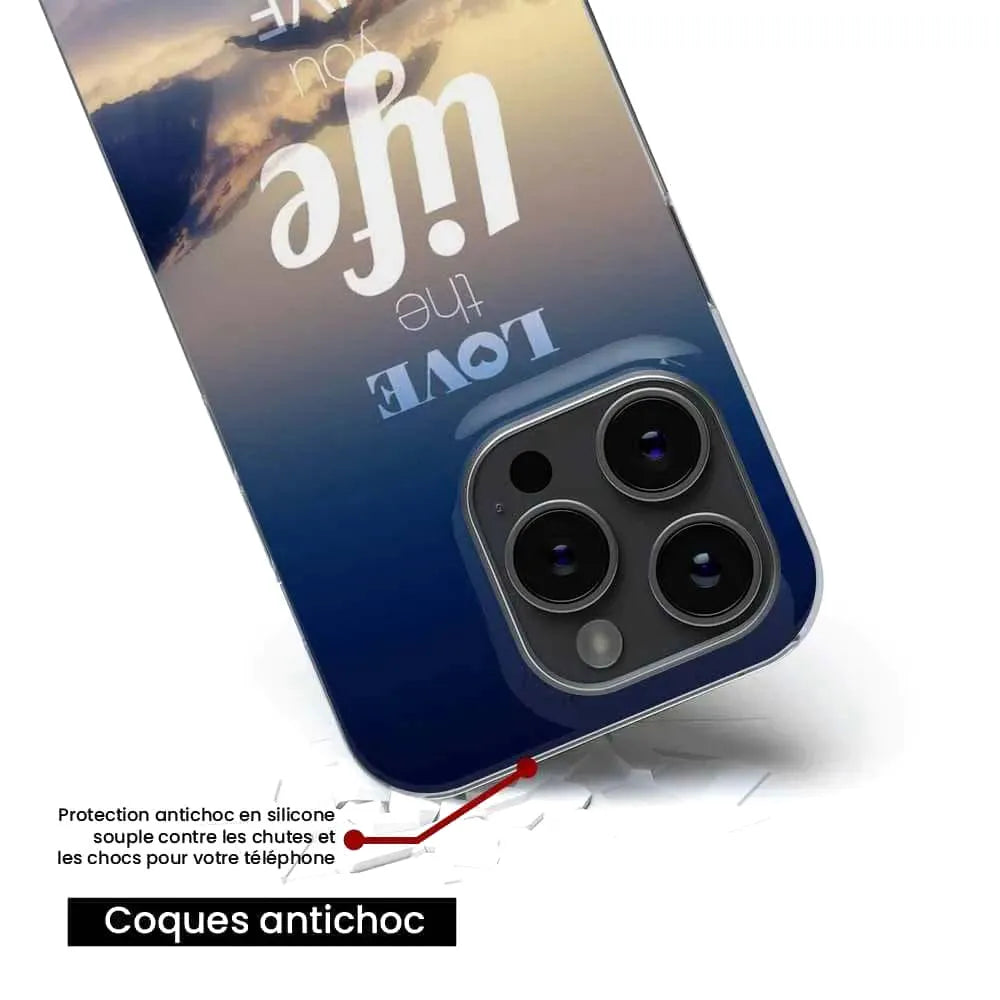 Citation 06