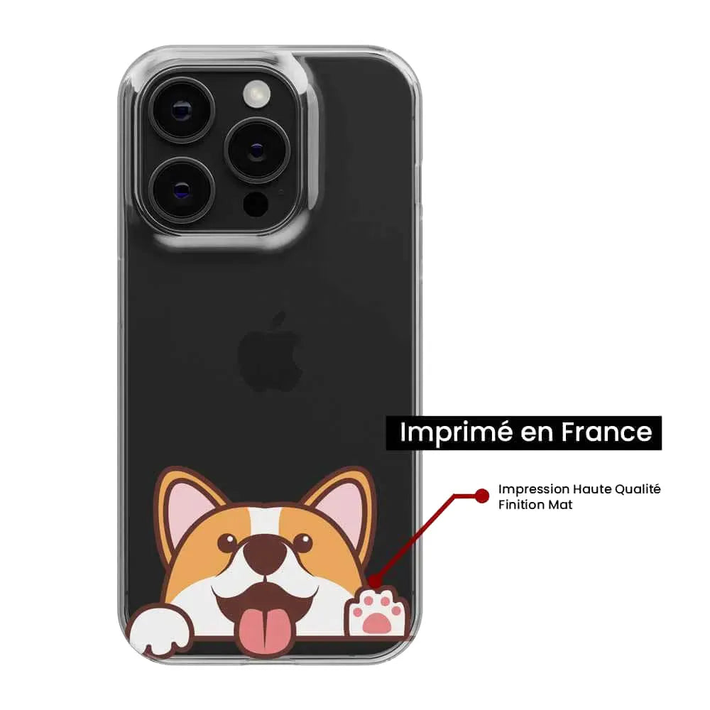 Coucou Corgi
