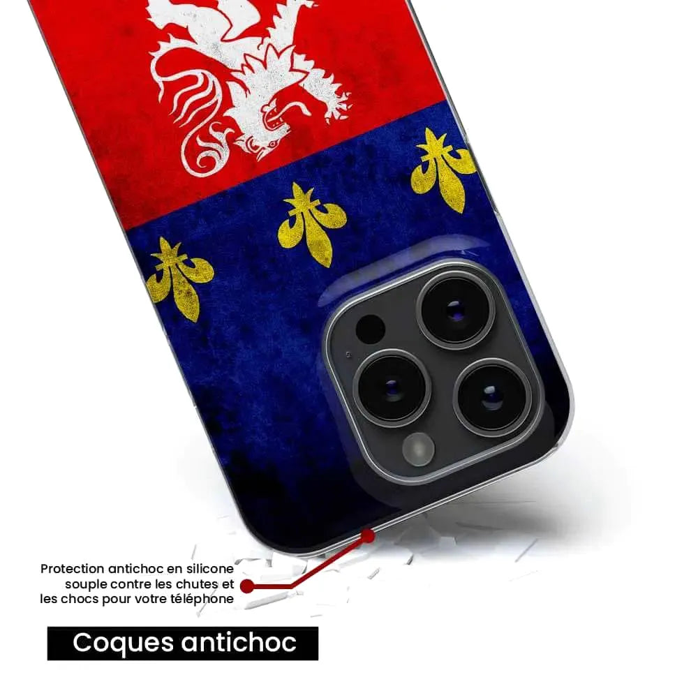 Drapeau Lyon