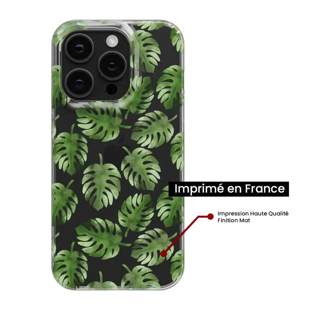 Feuilles de Monstera