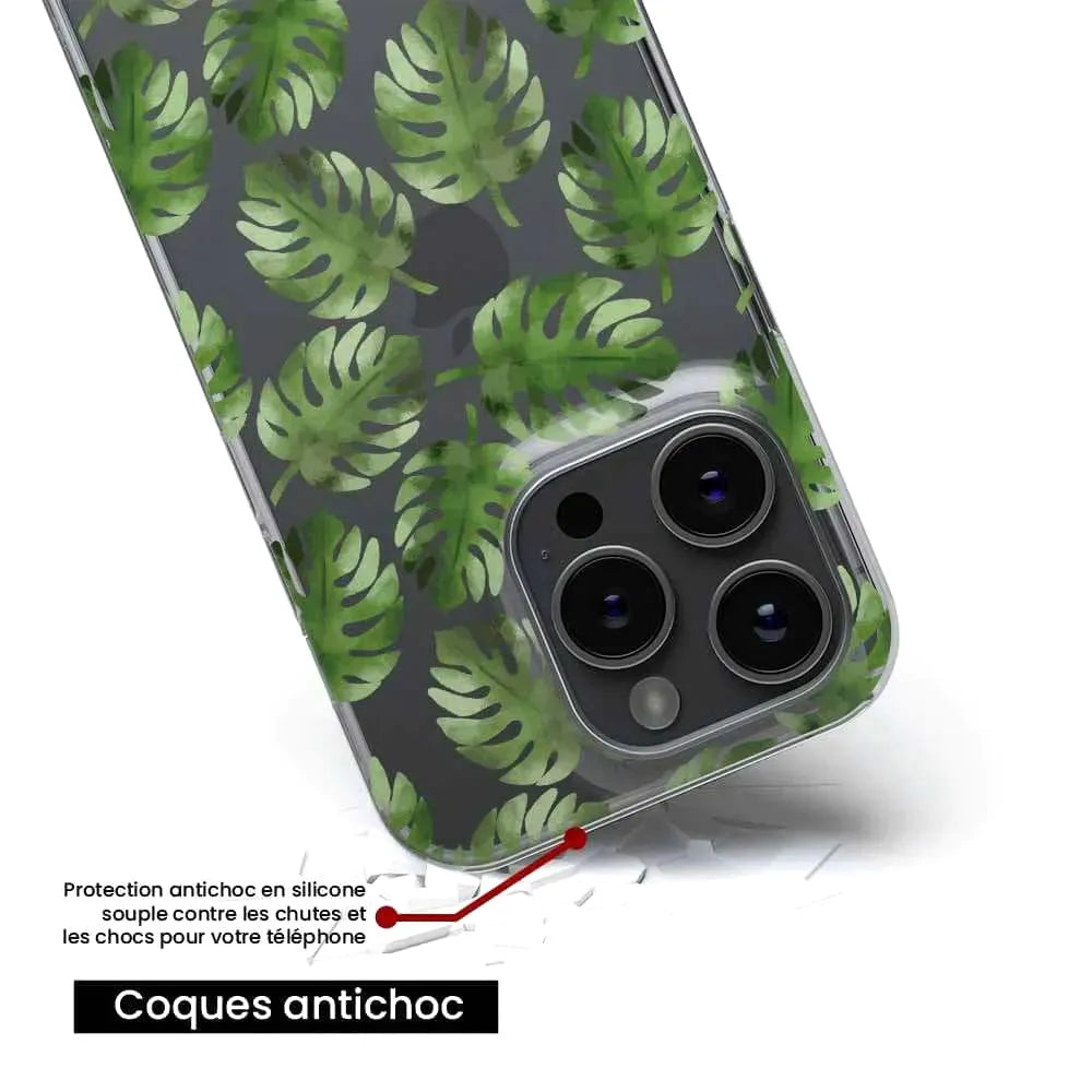 Feuilles de Monstera