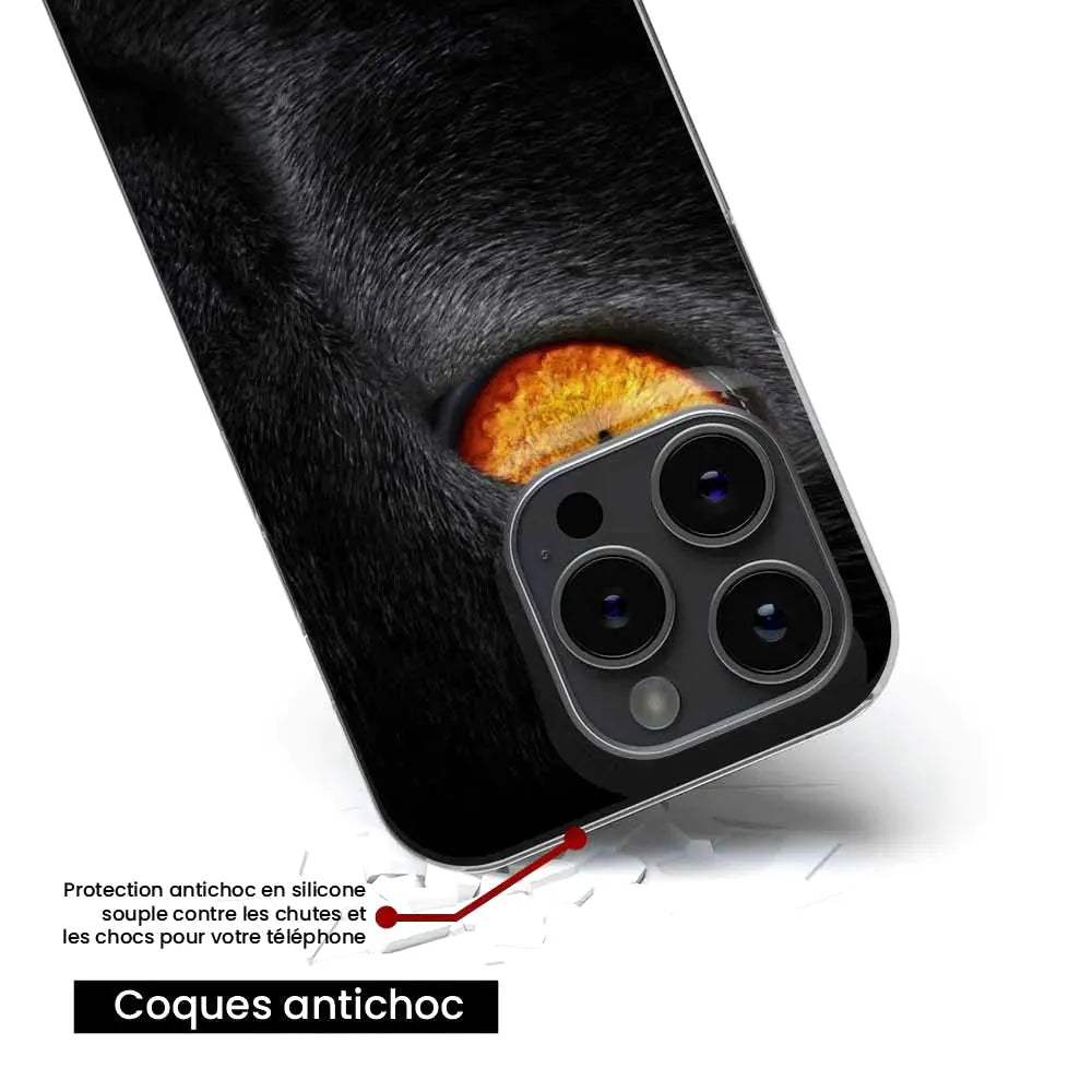 Oeil de Panthère