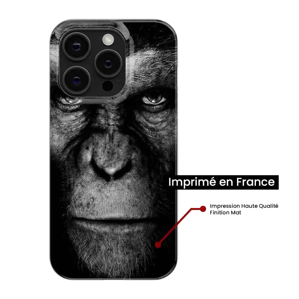 Singe