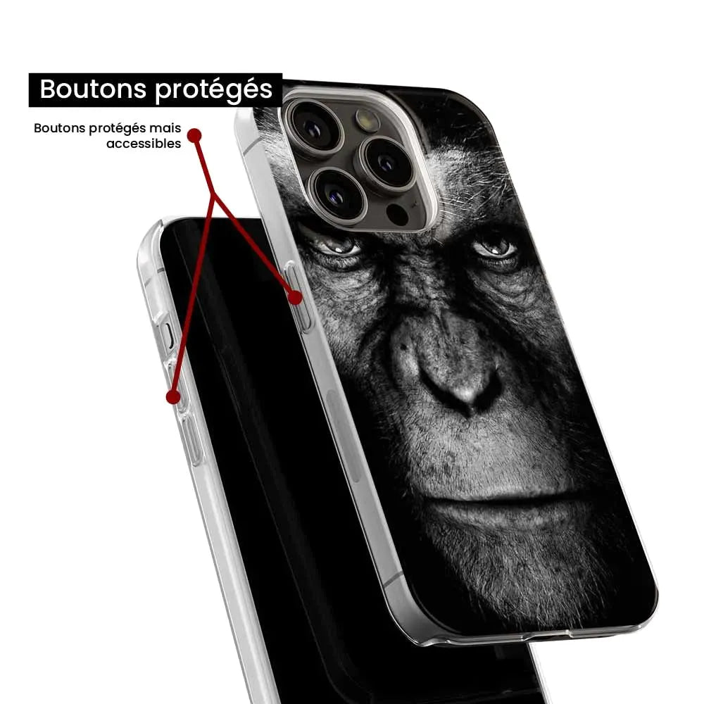 Singe