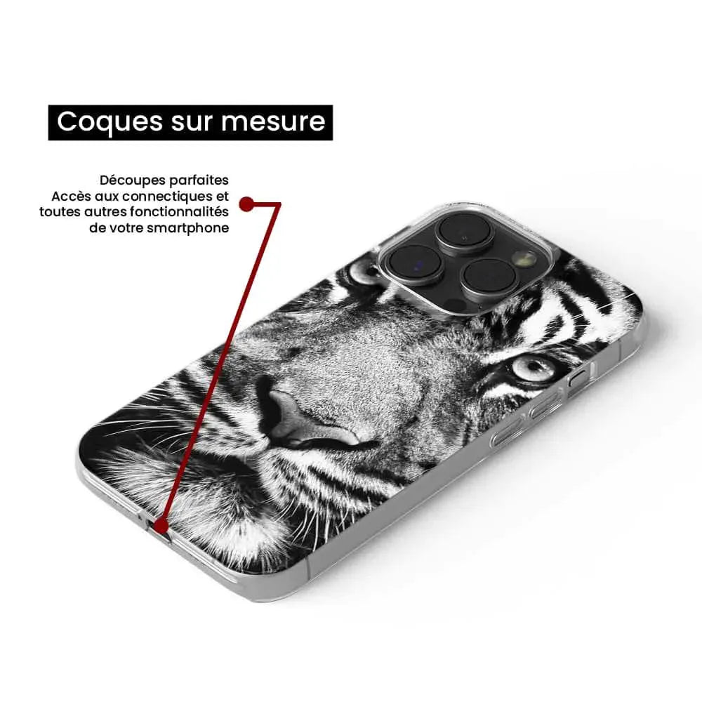 Tigre blanc et noir
