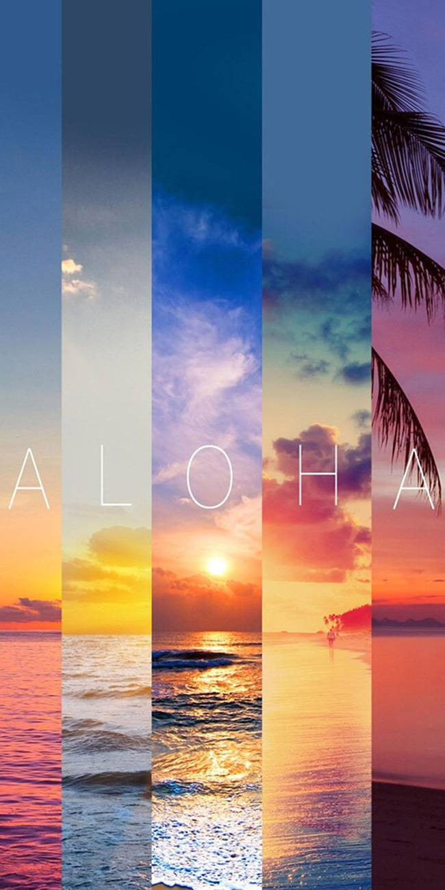 Aloha