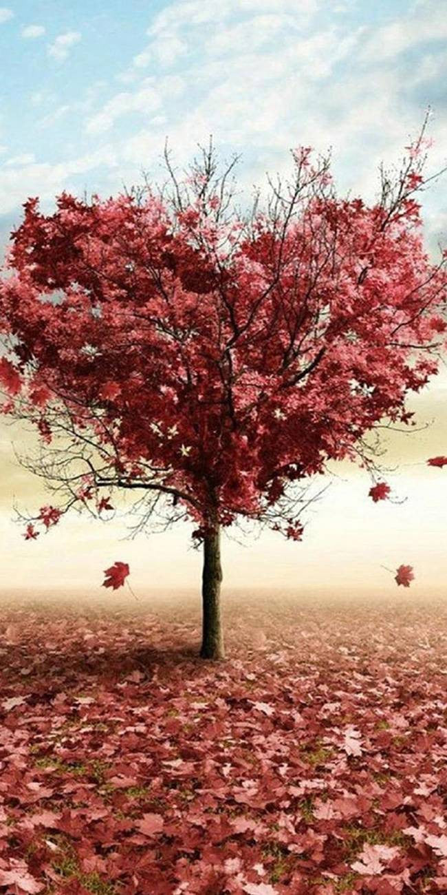 Arbre Love