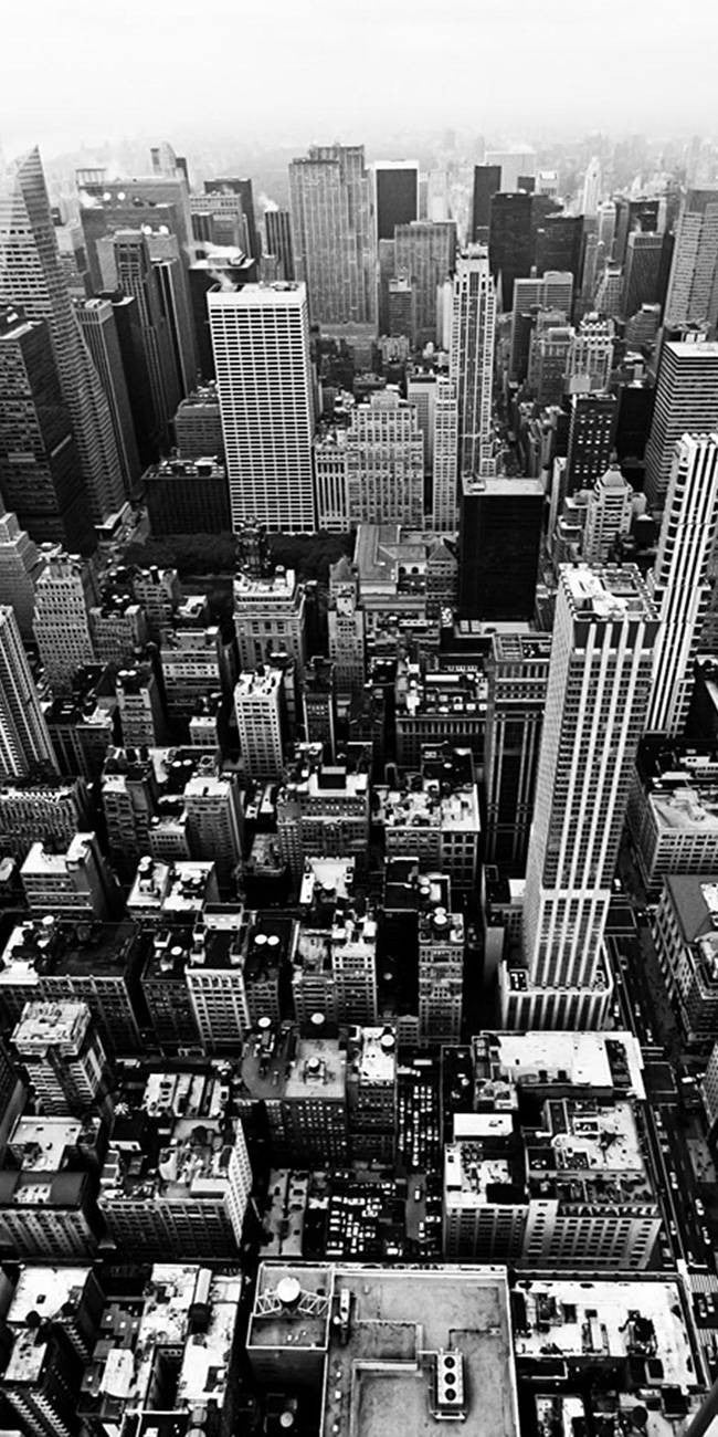 City