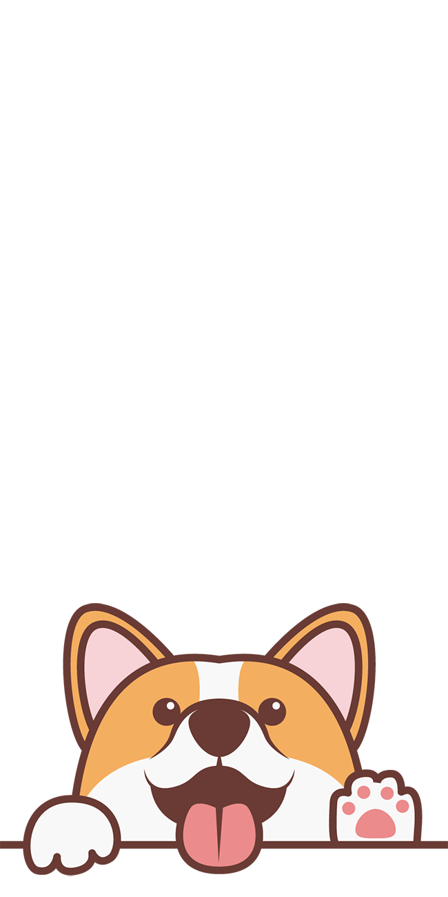 Coucou Corgi
