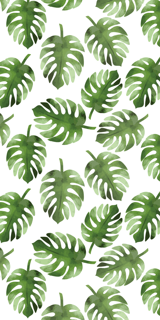 Feuilles de Monstera