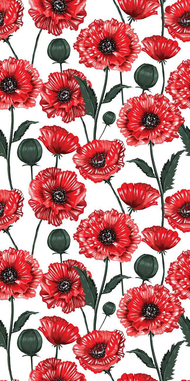 Fleurs de Pavot