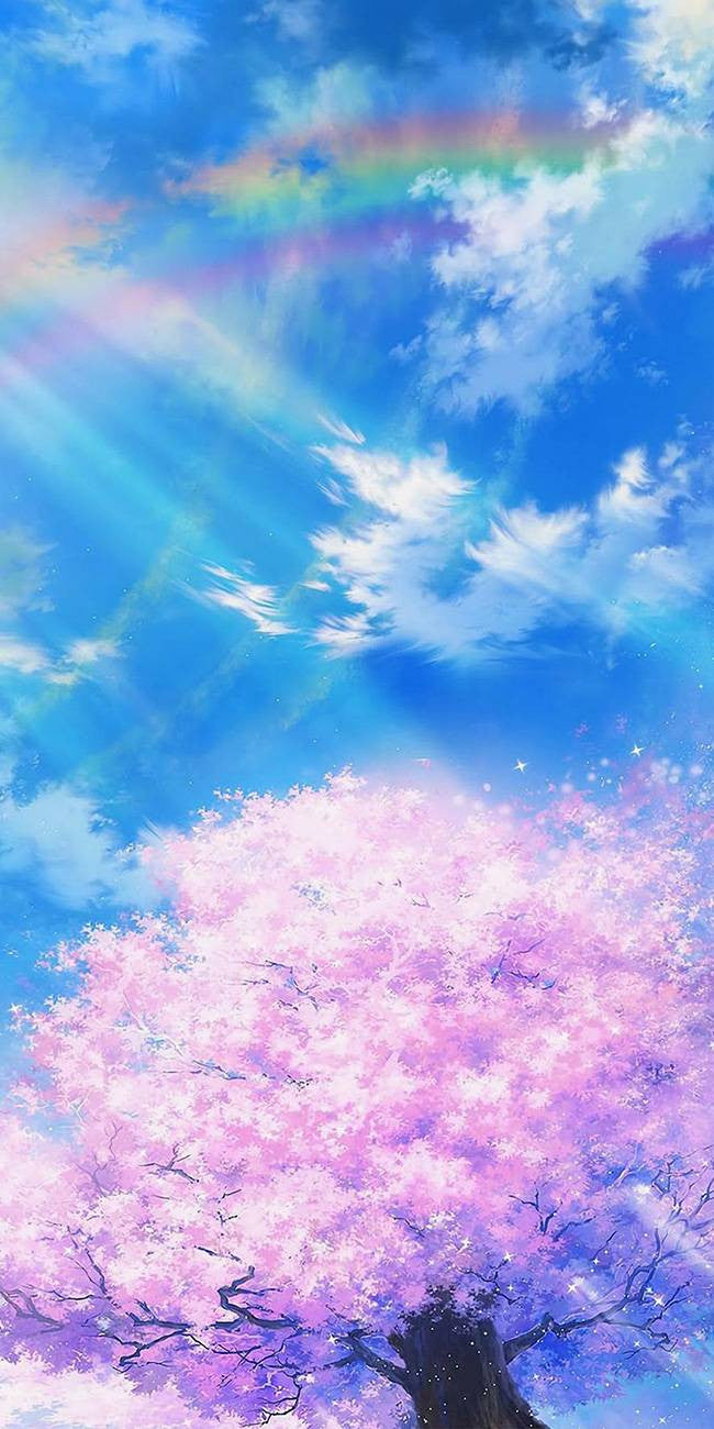 Hanami