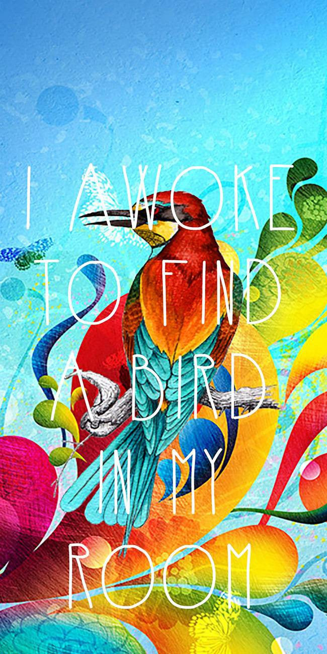Mocking bird
