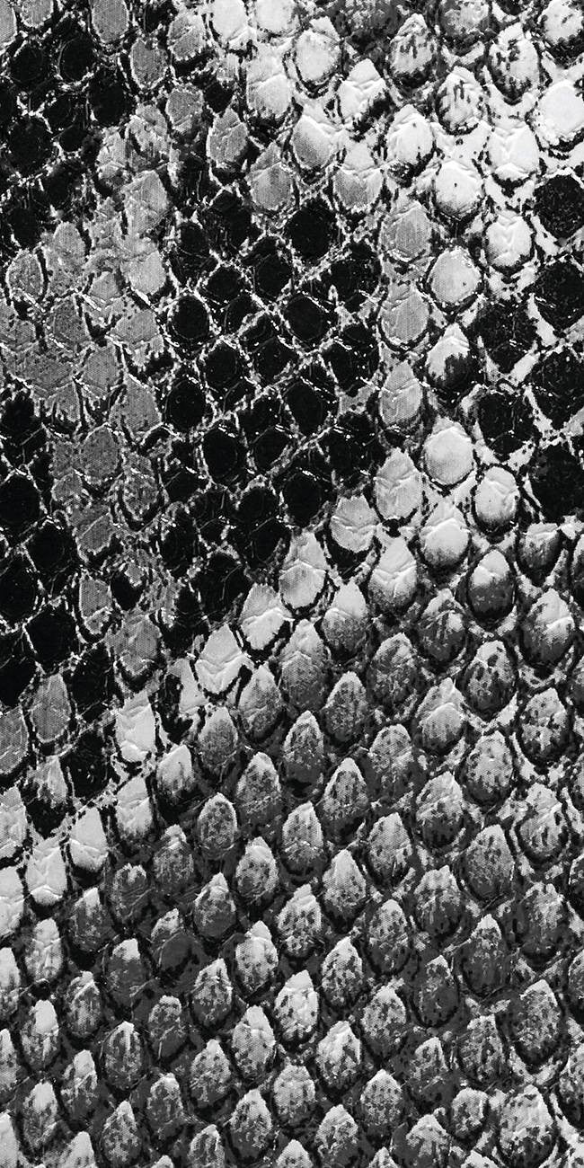 Texture Python