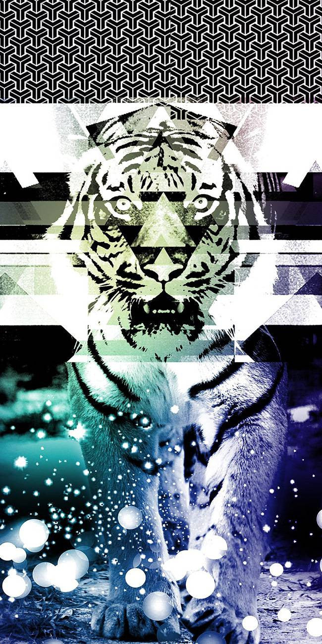 Tigre swag