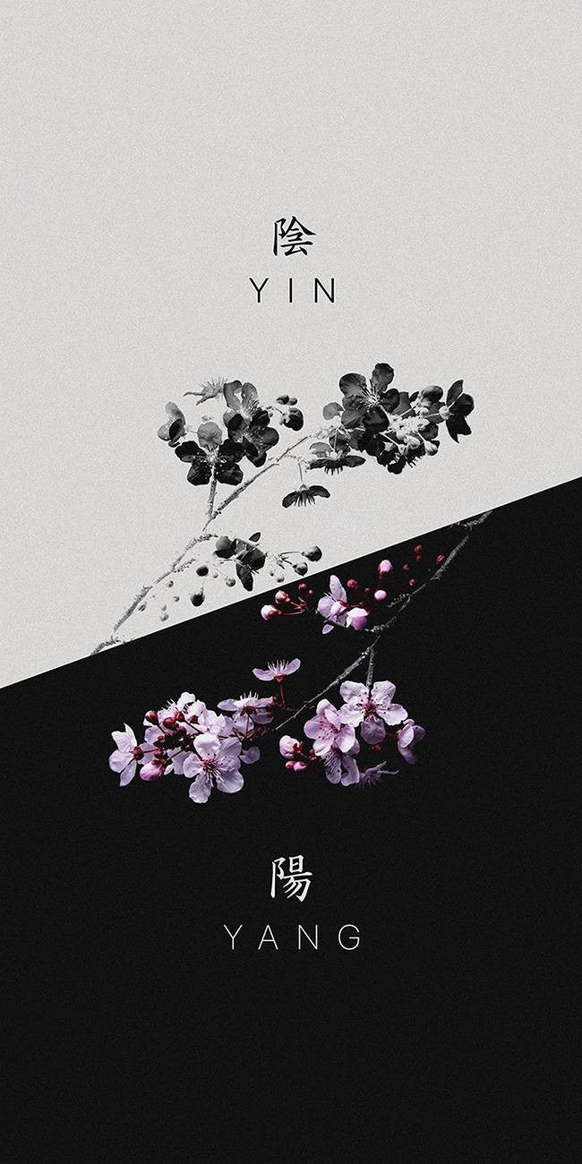 Yin et Yang