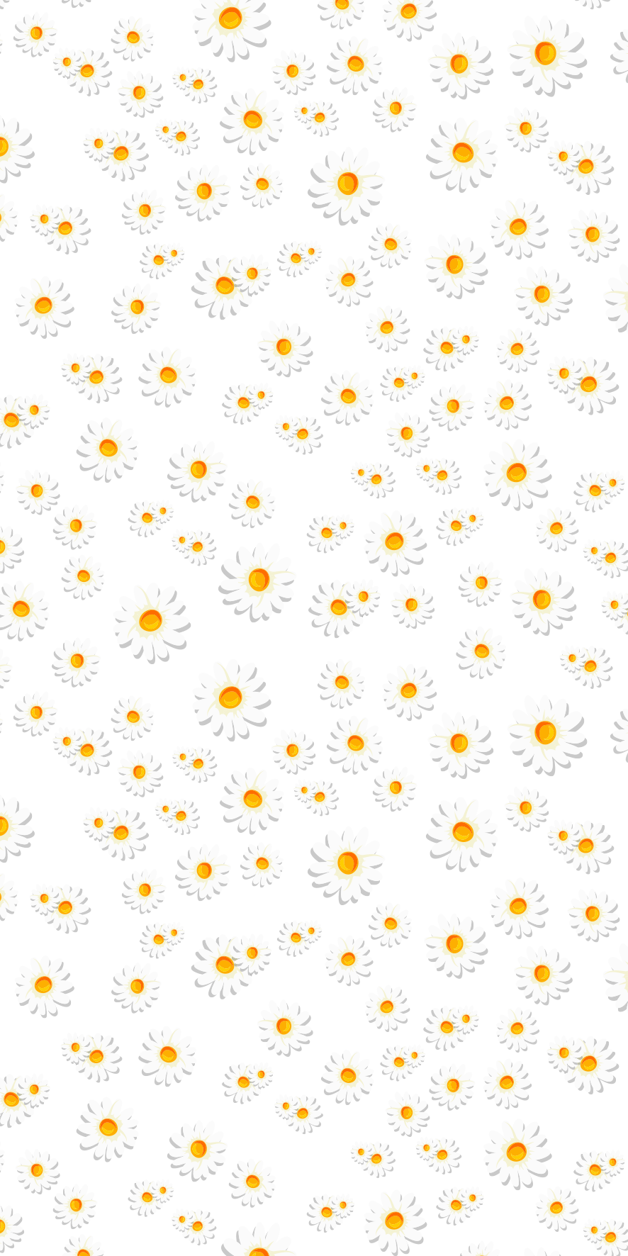 Daisy