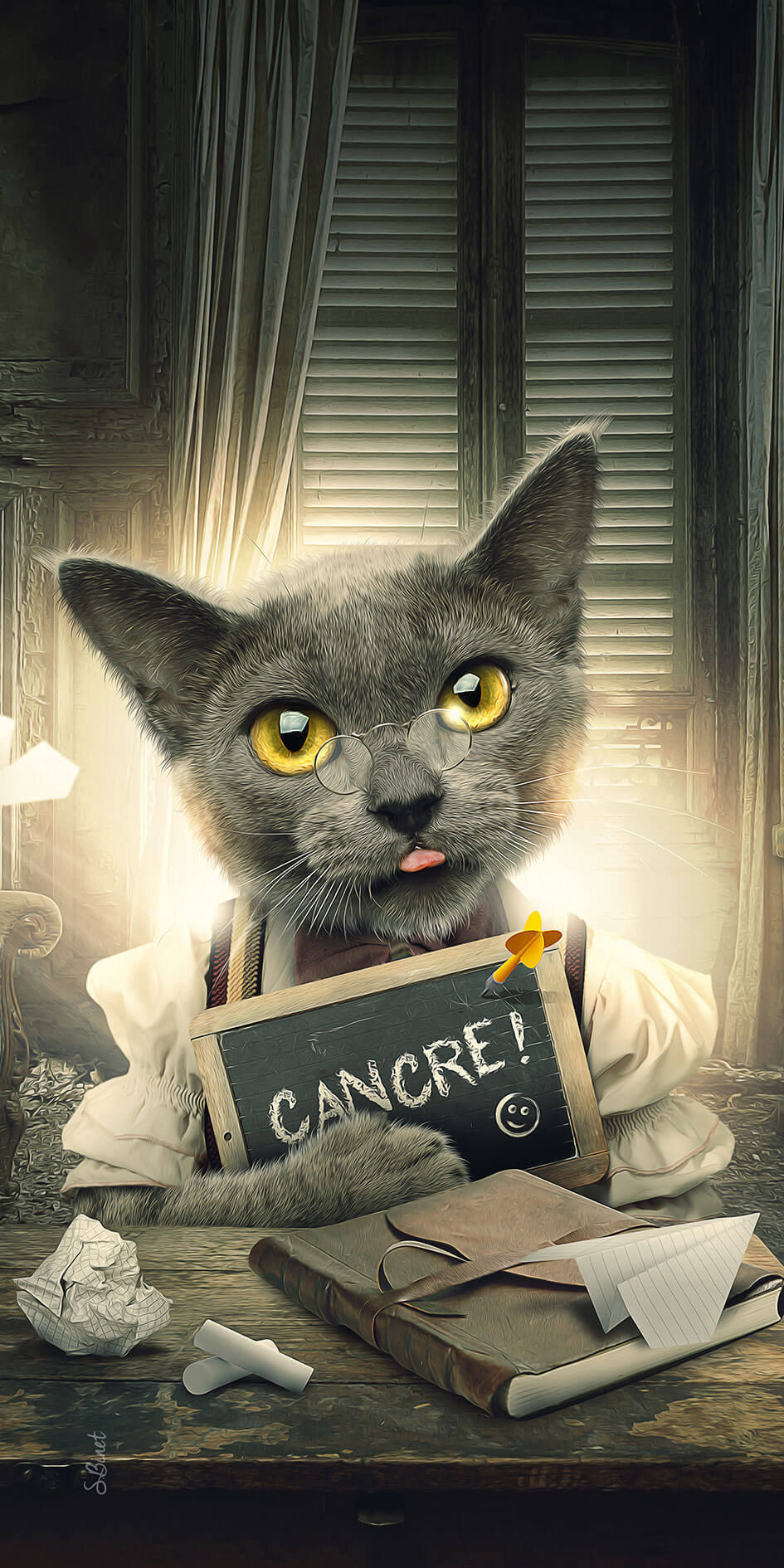 Chat Cancre