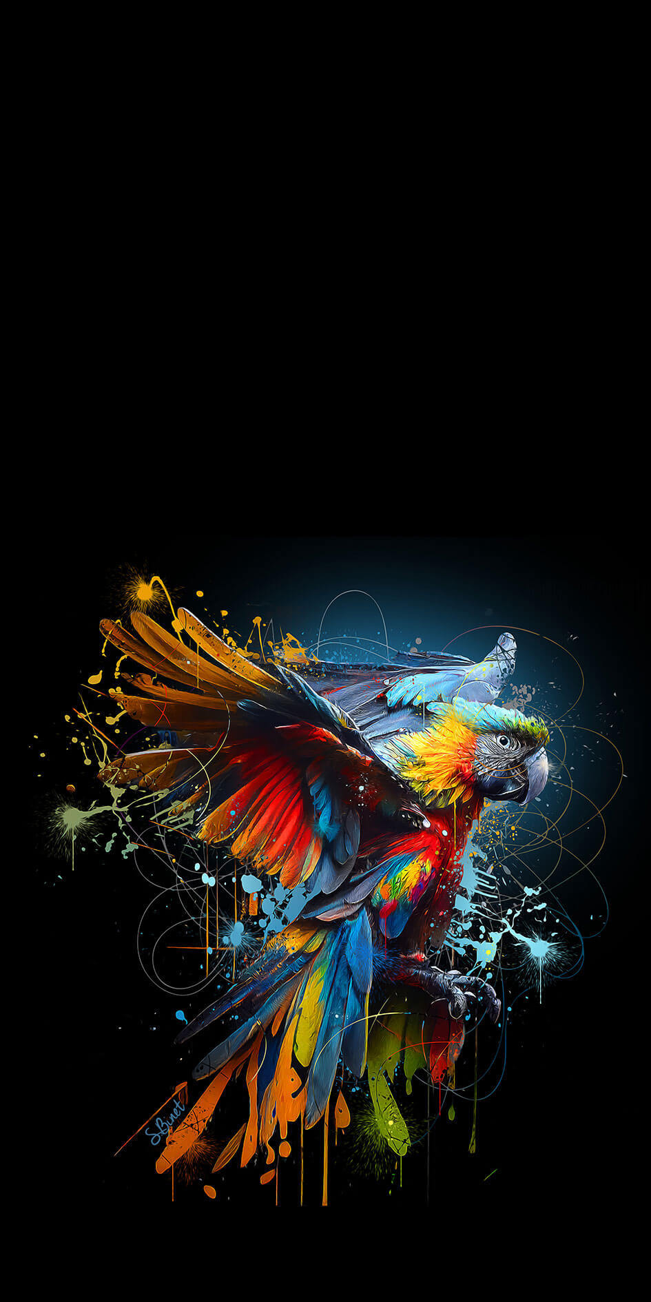 SB Perroquet Color