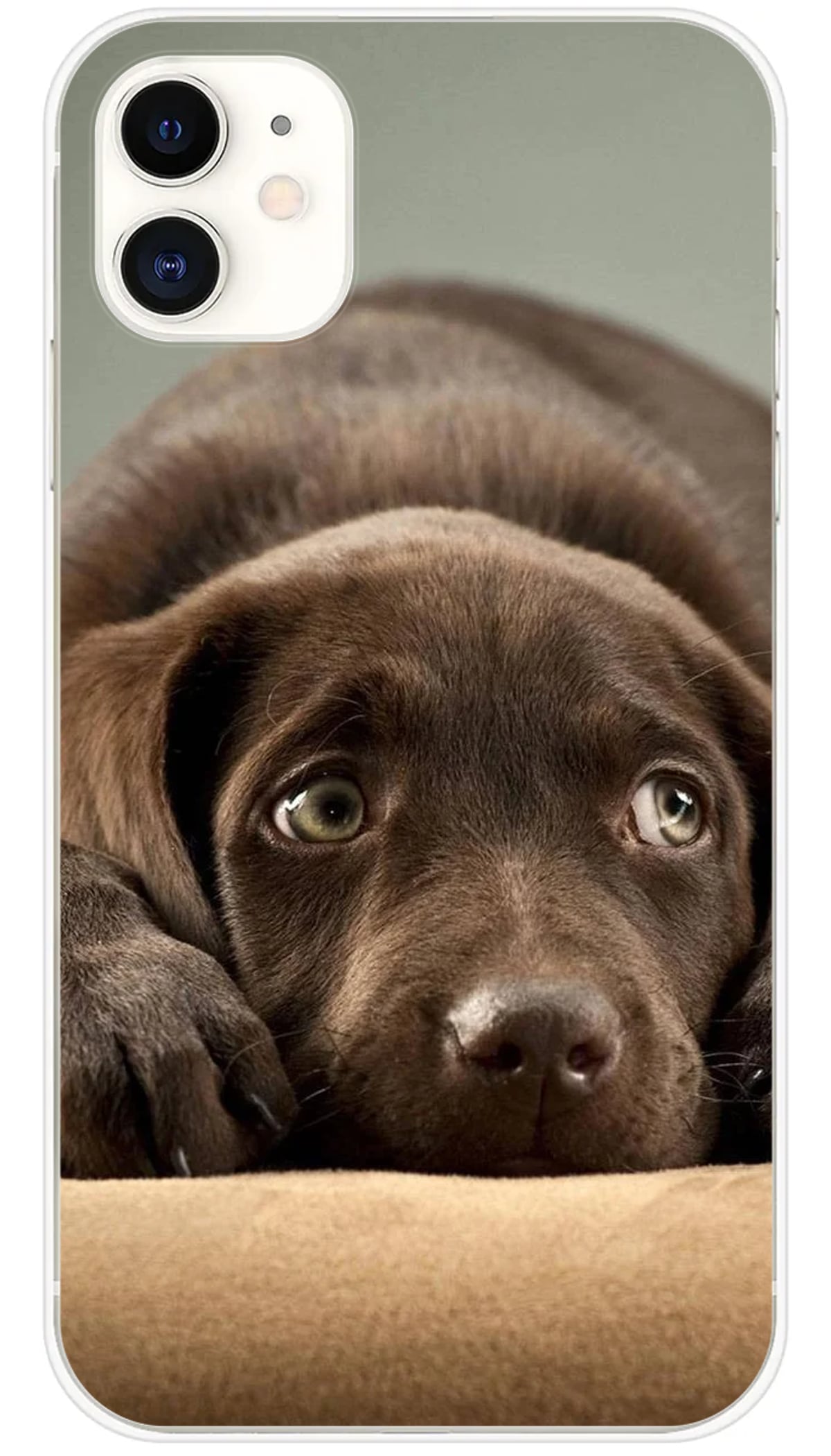 Coque iPhone Chiot marron - iPhone 11