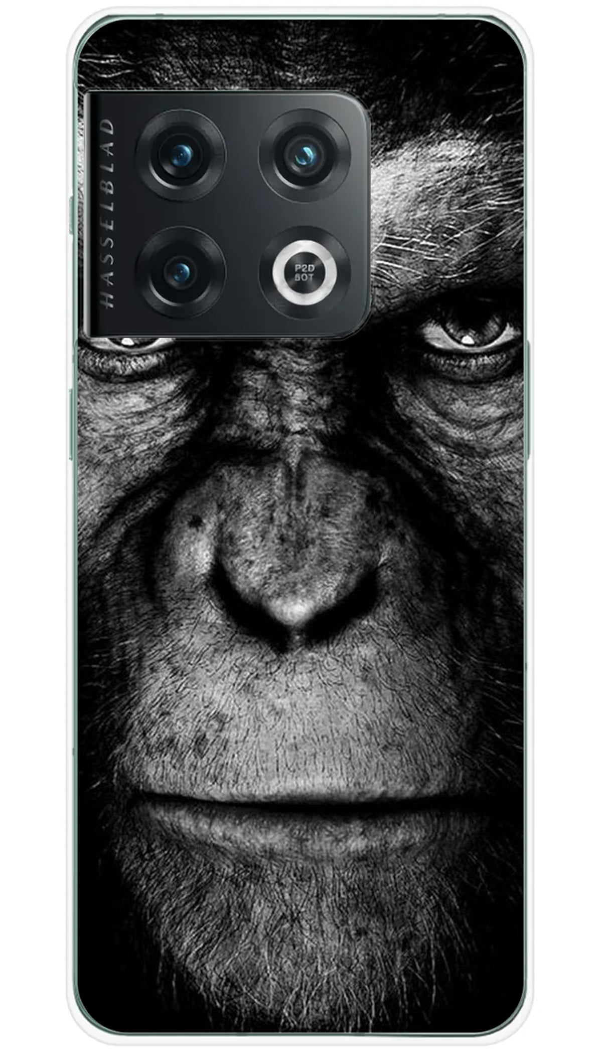Coque OnePlus Singe - 10 Pro 5G