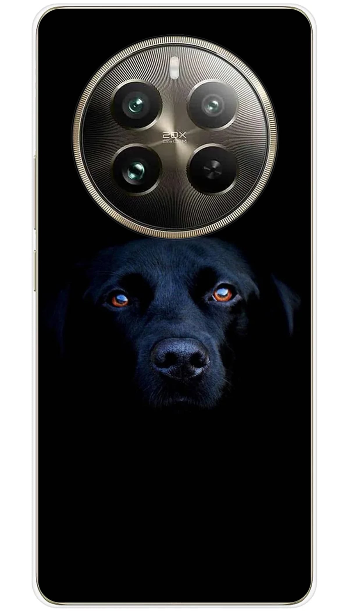 Coque Realme Chien noir - 12 Pro 5G