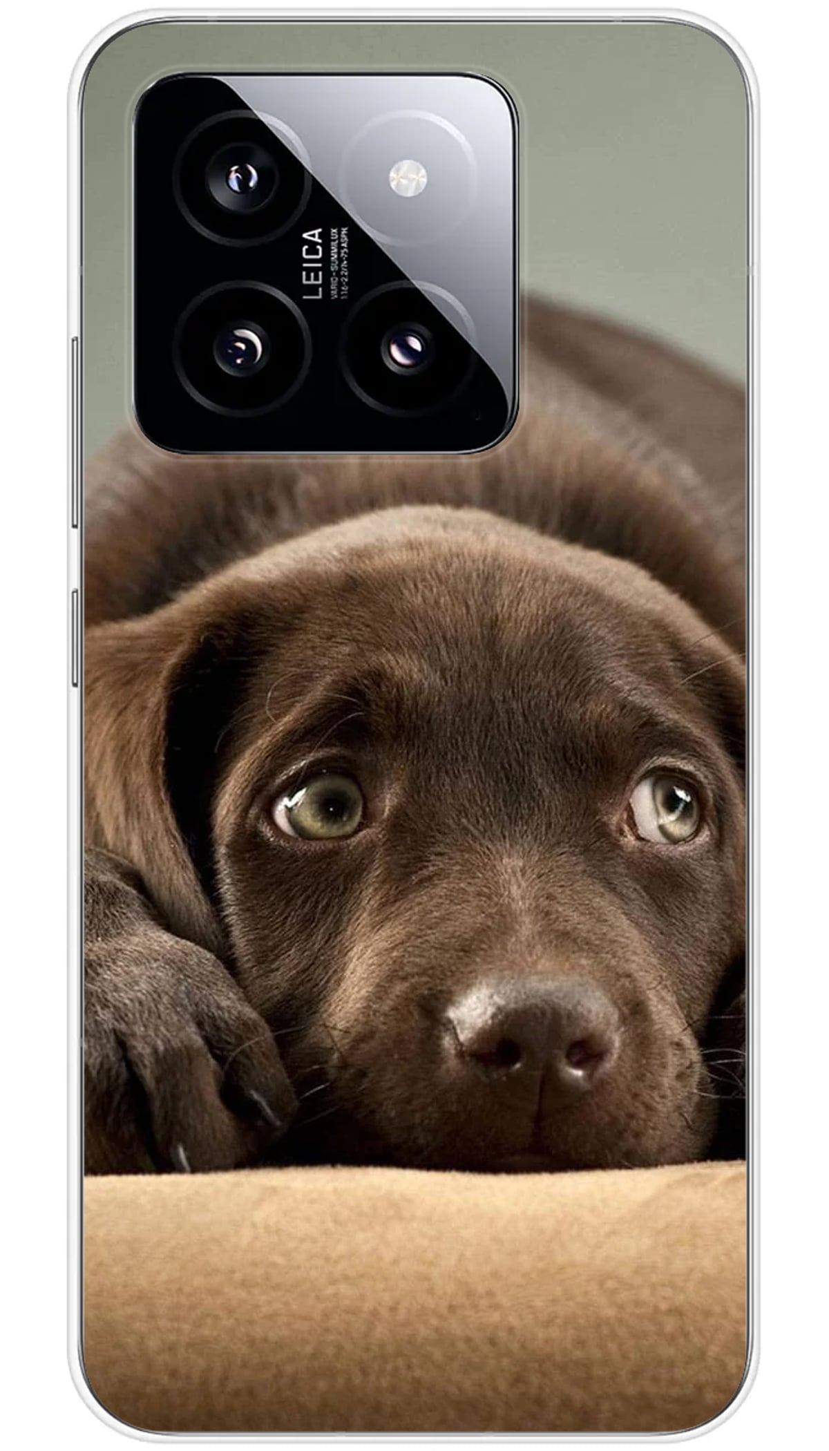 Coque Xiaomi Chiot marron - 14