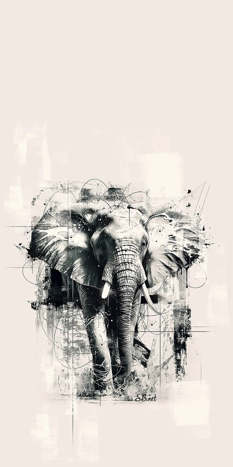 Coque Samsung SB Éléphant N&B