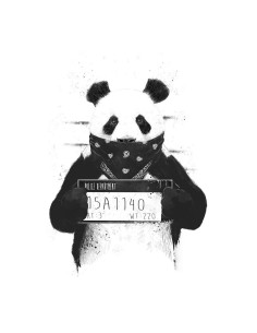 BS Bad Panda